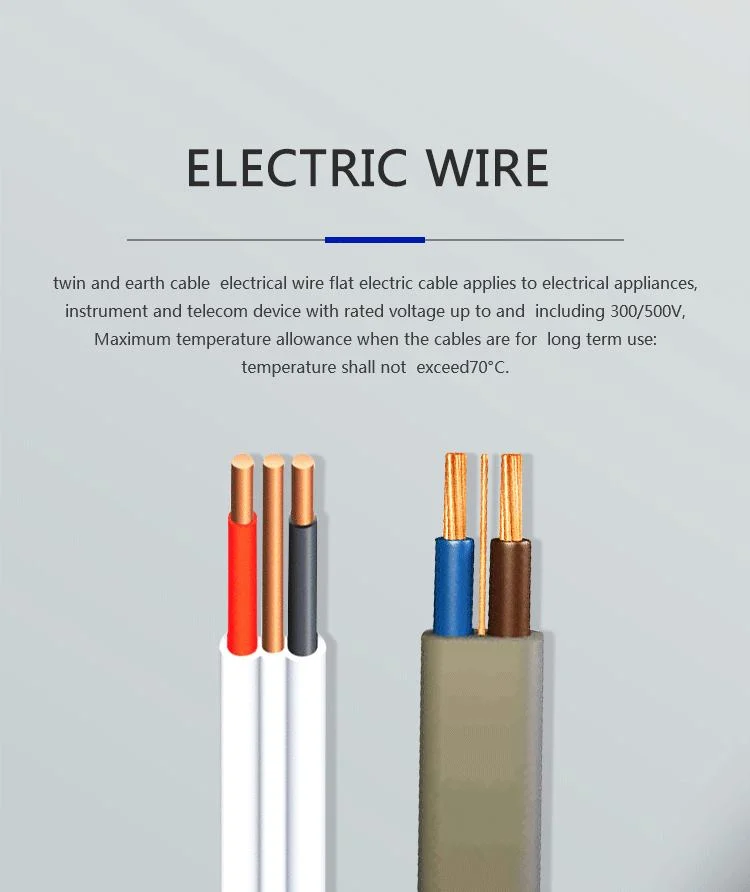 OEM ODM PVC XLPE Insulated Electrical Cables Wires Building Electrical 450V 750V Copper